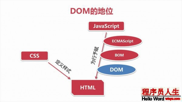 JavaScript学习--Item29 DOM基础详解