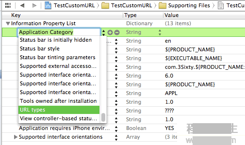 iOS Custom URL Scheme