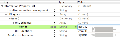 iOS Custom URL Scheme