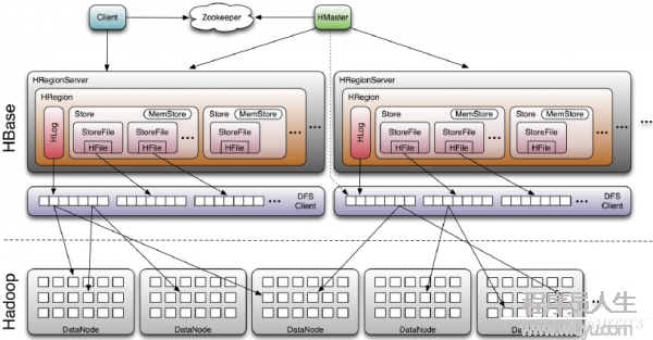 hbase