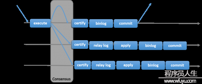 MySQL Group Replication [Single-Primary Mode] 详细搭建部署过程