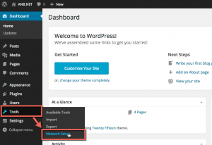 图：在WordPress中进入Tools | Network Setup页面