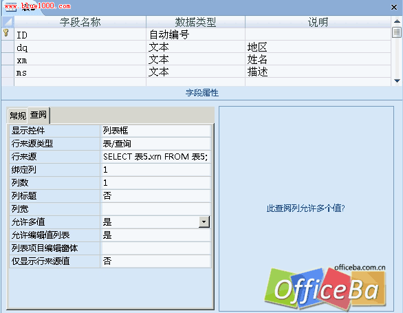 在Access2007中使用“多值”实现文字的sum